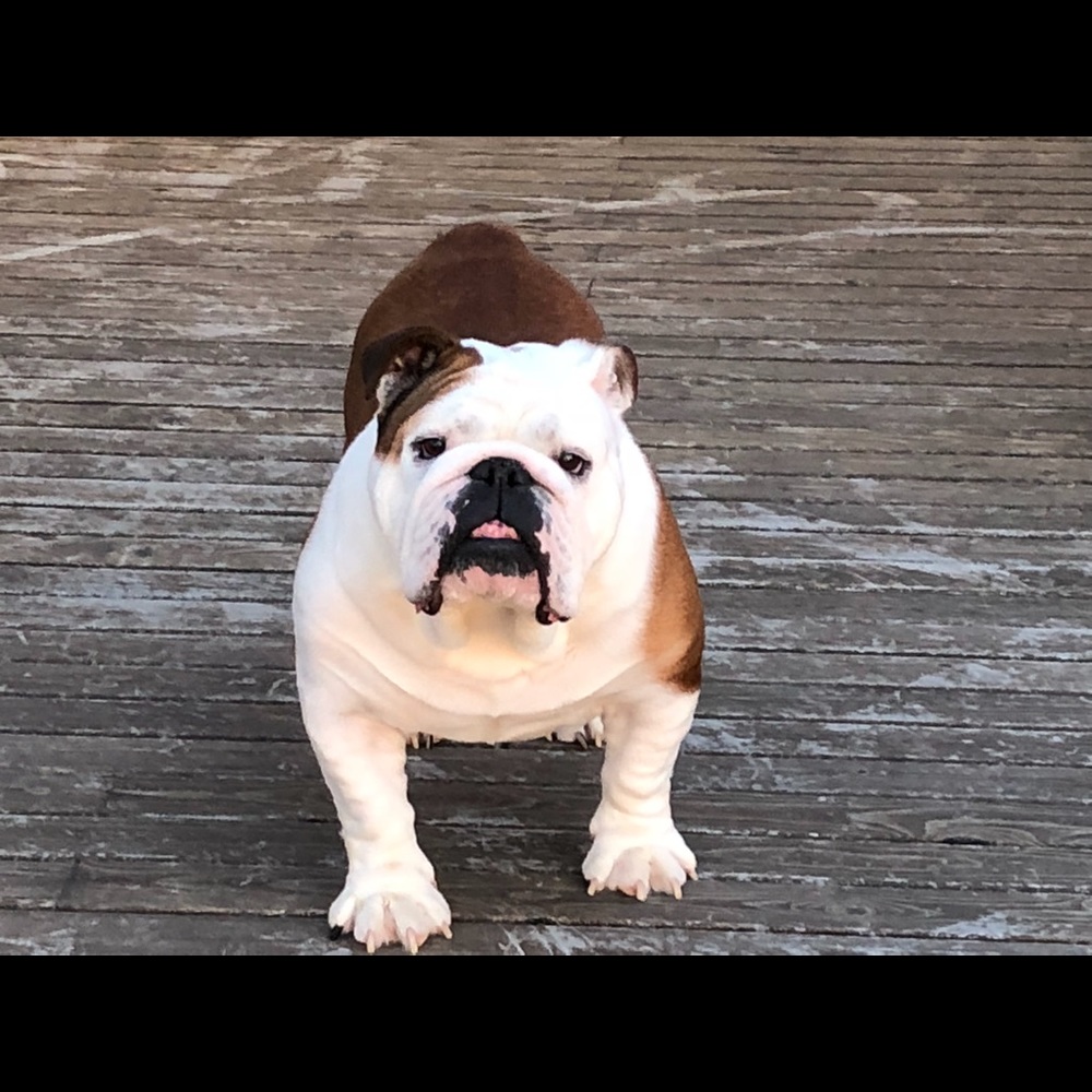 Meet your Posher, Cathy